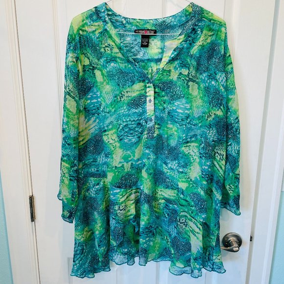 The Pyramid Collection Tops - The Pyramid Collection Green Blue Chiffon Top 2X